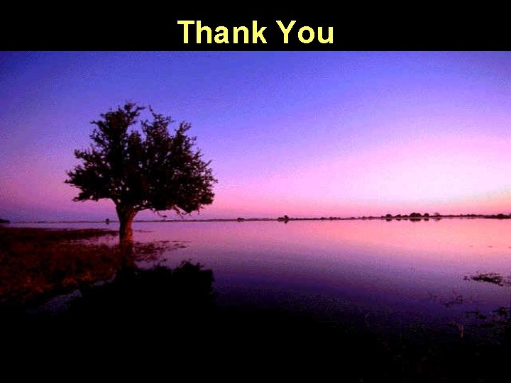 Thank You 