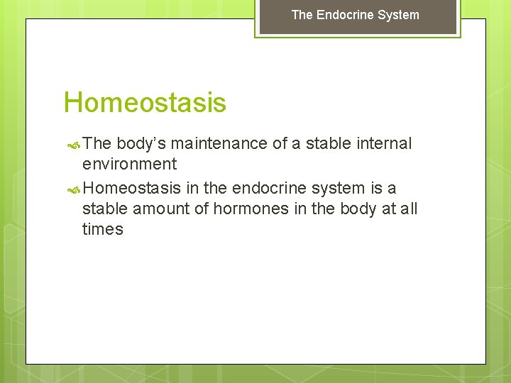The Endocrine System Homeostasis The body’s maintenance of a stable internal environment Homeostasis in