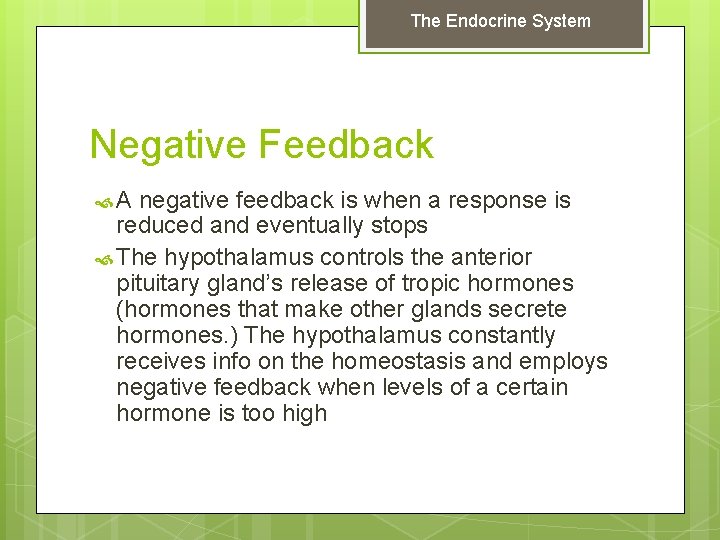 The Endocrine System Negative Feedback A negative feedback is when a response is reduced