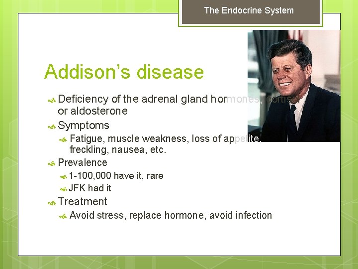 The Endocrine System Addison’s disease Deficiency of the adrenal gland hormones, cortisol or aldosterone