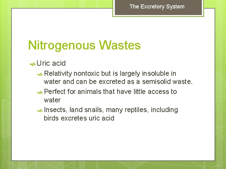 The Excretory System Nitrogenous Wastes Uric acid Relativity nontoxic but is largely insoluble in