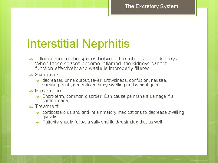 The Excretory System Interstitial Neprhitis Inflammation of the spaces between the tubules of the