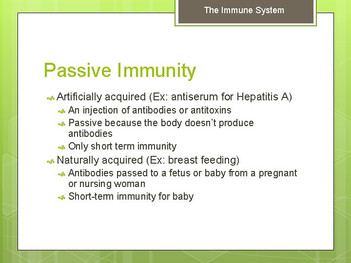 The Immune System Passive Immunity Artificially acquired (Ex: antiserum for Hepatitis A) An injection