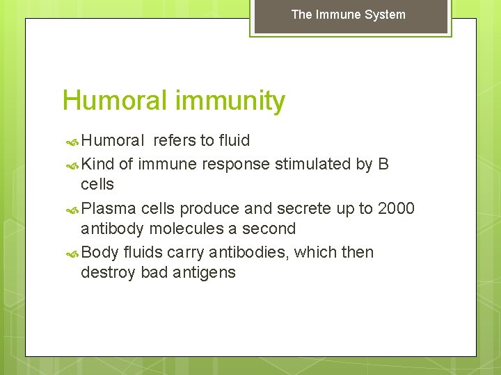 The Immune System Humoral immunity Humoral refers to fluid Kind of immune response stimulated