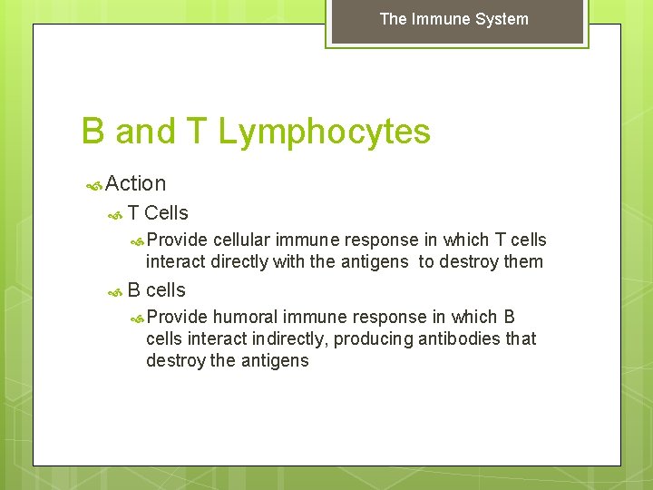 The Immune System B and T Lymphocytes Action T Cells Provide cellular immune response