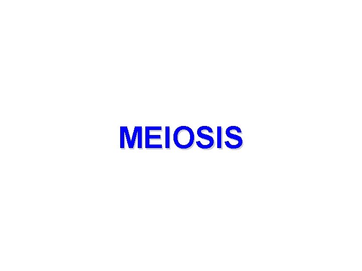 MEIOSIS 