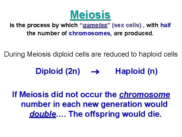 Meiosis is the process by which “gametes” (sex cells) , with half the number