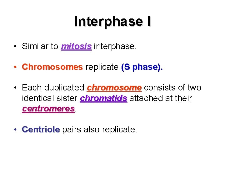 Interphase I • Similar to mitosis interphase. • Chromosomes replicate (S phase). • Each