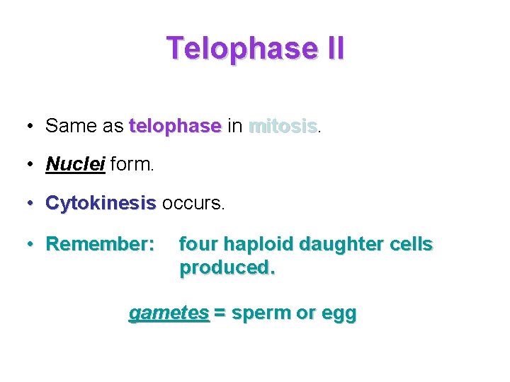 Telophase II • Same as telophase in mitosis • Nuclei form. • Cytokinesis occurs.