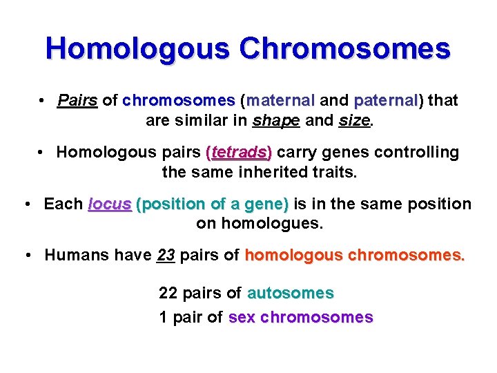 Homologous Chromosomes • Pairs of chromosomes (maternal and paternal) paternal that are similar in