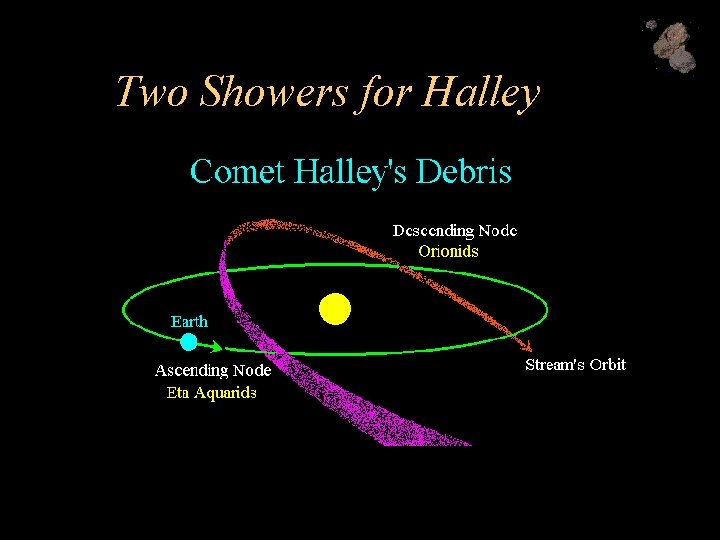 Two Showers for Halley 