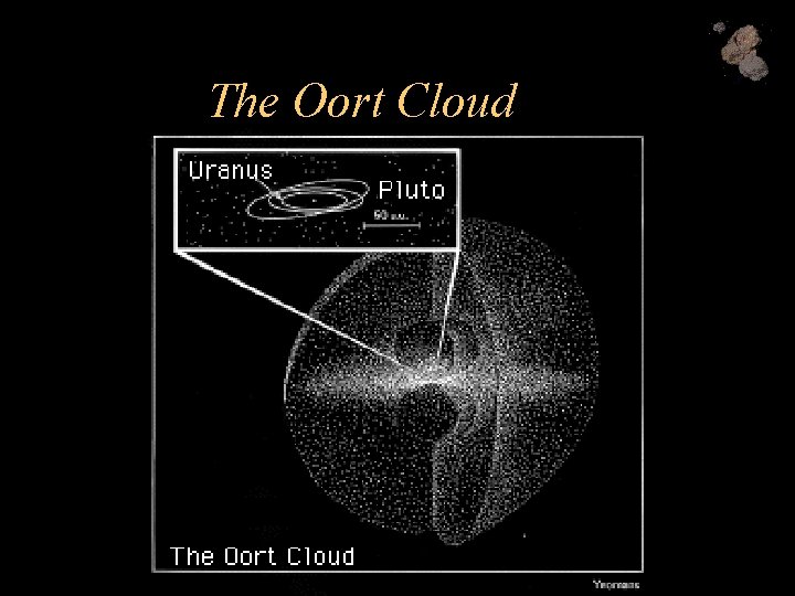 The Oort Cloud 