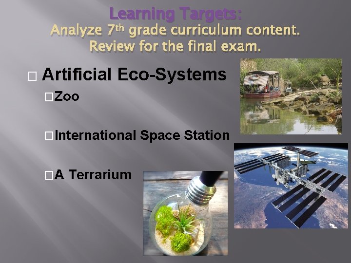 Learning Targets: Analyze 7 th grade curriculum content. Review for the final exam. � Learning Targets: Analyze 7 th grade curriculum content. Review for the final exam. �