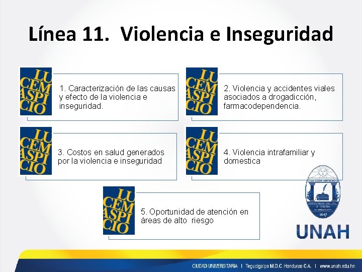 Línea 11. Violencia e Inseguridad 1. Caracterización de las causas y efecto de la