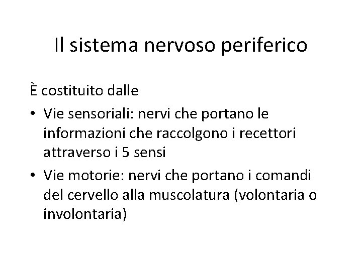 Il sistema nervoso periferico È costituito dalle • Vie sensoriali: nervi che portano le