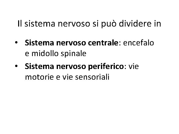 Il sistema nervoso si può dividere in • Sistema nervoso centrale: encefalo e midollo