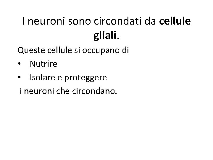 I neuroni sono circondati da cellule gliali. Queste cellule si occupano di • Nutrire