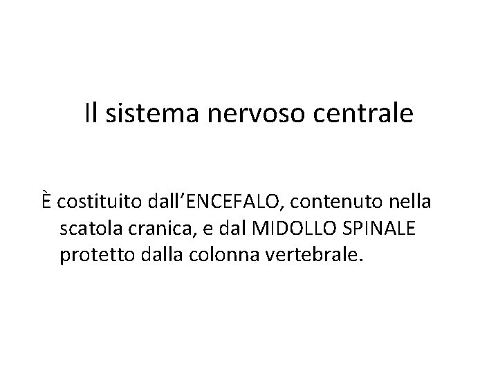 Il sistema nervoso centrale È costituito dall’ENCEFALO, contenuto nella scatola cranica, e dal MIDOLLO