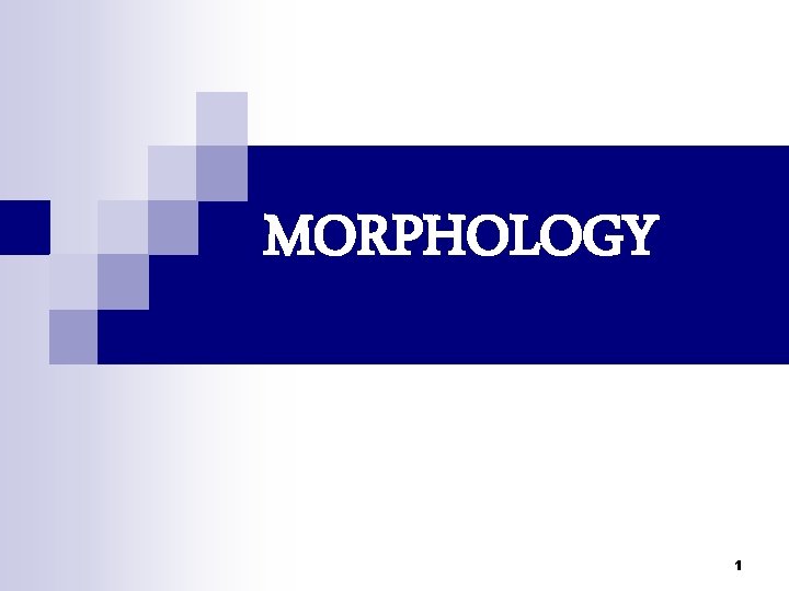 MORPHOLOGY 1 MORPHOLOGY 1