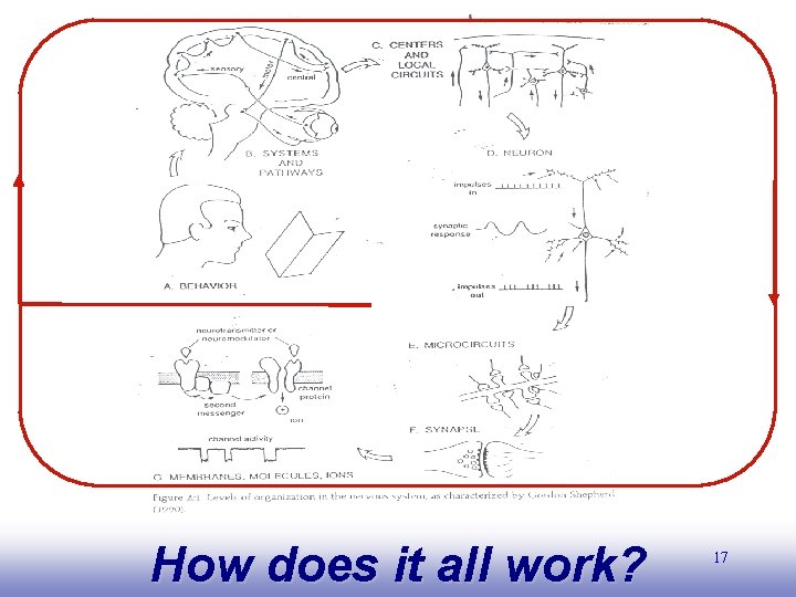 EE 141 How does it all work? 17 