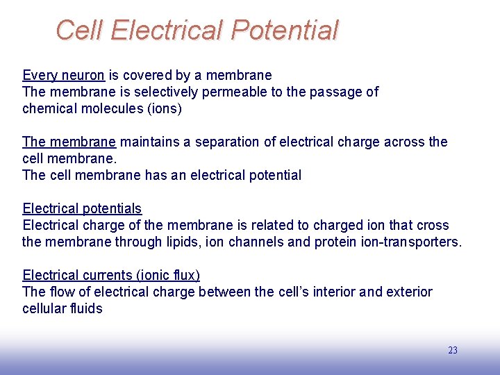 Cell Electrical Potential Every neuron is covered by a membrane The membrane is selectively