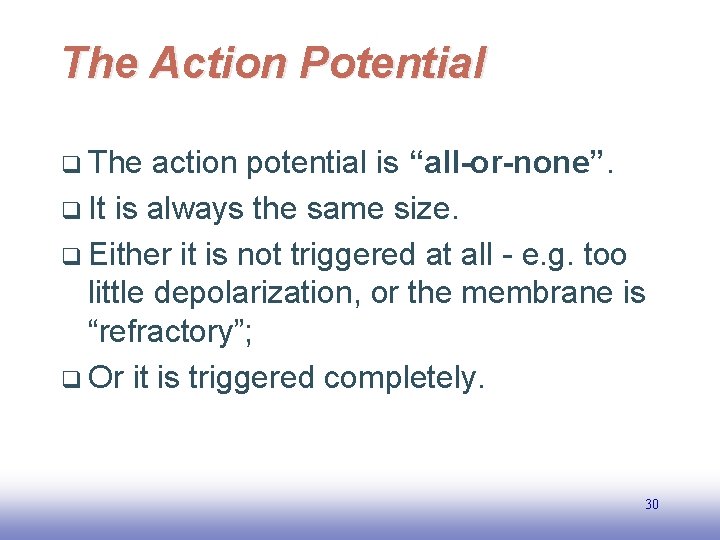 The Action Potential q The action potential is “all-or-none”. q It is always the