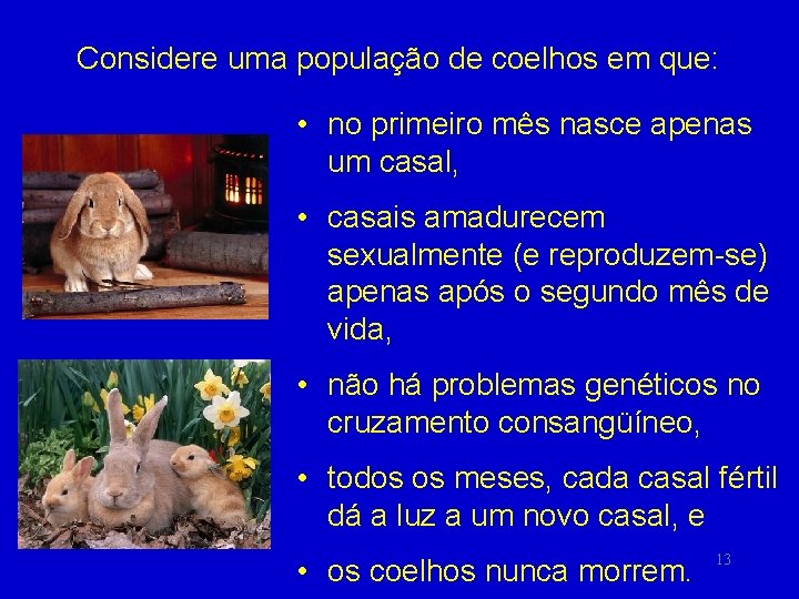 Considere uma população de coelhos em que: • no primeiro mês nasce apenas um