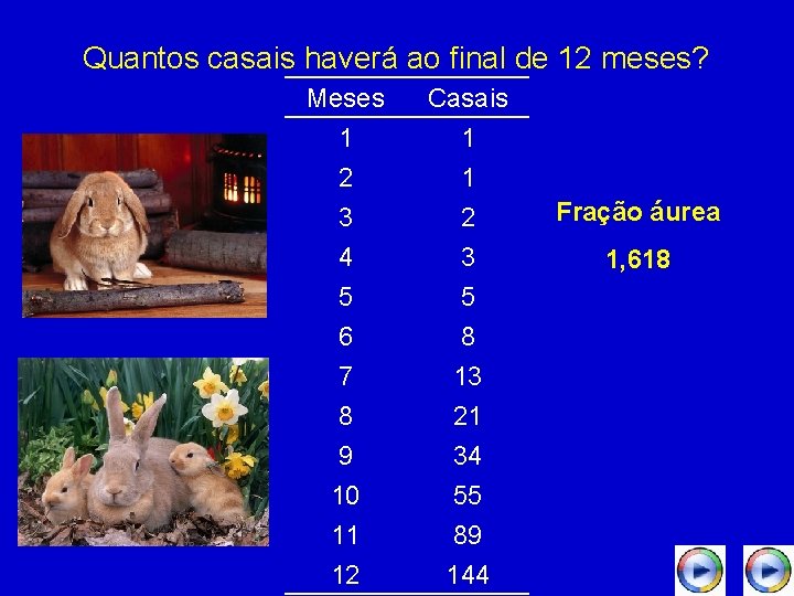 Quantos casais haverá ao final de 12 meses? Meses 1 2 3 Casais 1