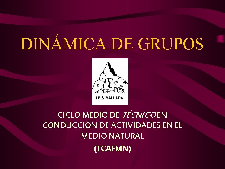 DINÁMICA DE GRUPOS CICLO MEDIO DE TÉCNICO EN CONDUCCIÓN DE ACTIVIDADES EN EL MEDIO