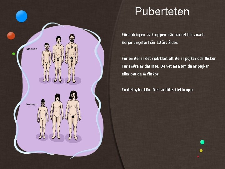 Puberteten Förändringen av kroppen när barnet blir vuxet. Börjar ungefär från 12 års ålder.