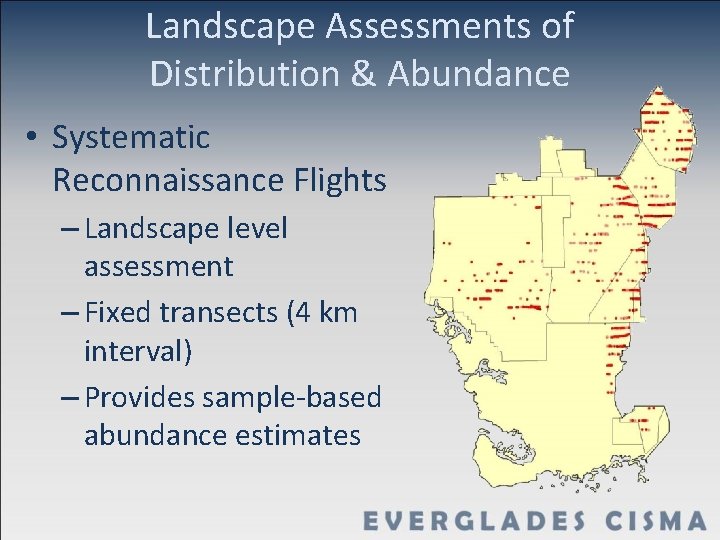 Landscape Assessments of Distribution & Abundance • Systematic Reconnaissance Flights – Landscape level assessment