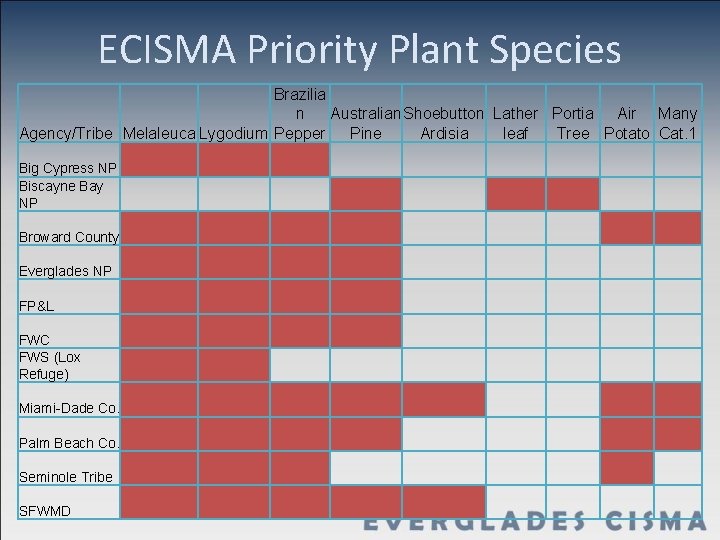 ECISMA Priority Plant Species Brazilia n Australian Shoebutton Lather Portia Air Many Agency/Tribe Melaleuca