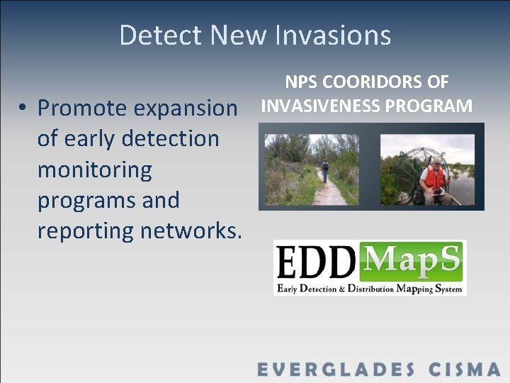 Detect New Invasions • Promote expansion of early detection monitoring programs and reporting networks.