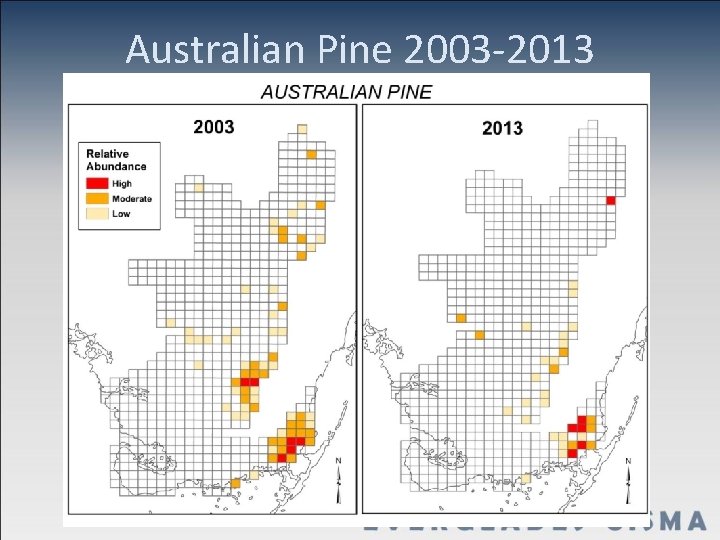 Australian Pine 2003 -2013 