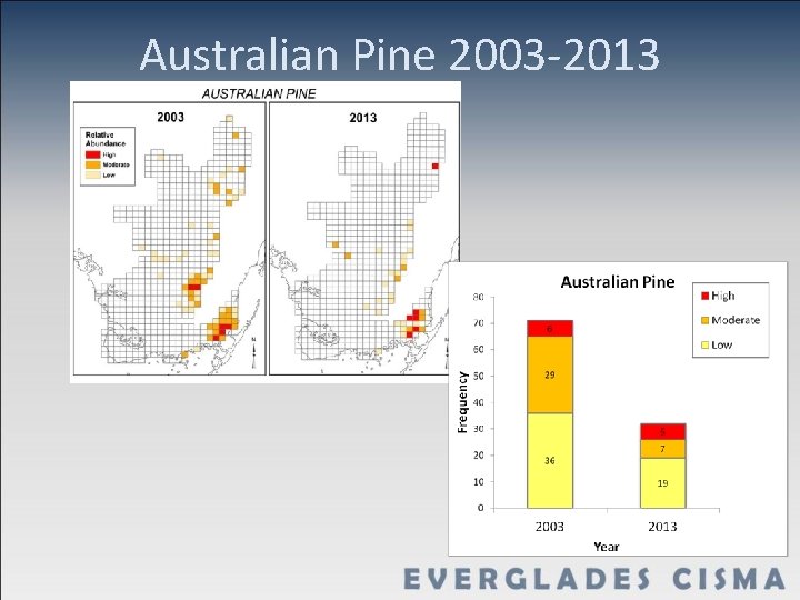 Australian Pine 2003 -2013 