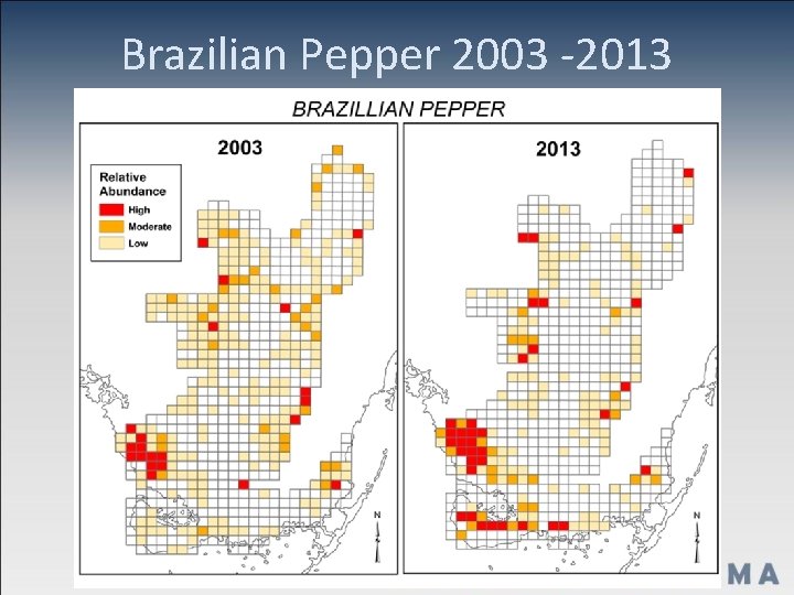 Brazilian Pepper 2003 -2013 