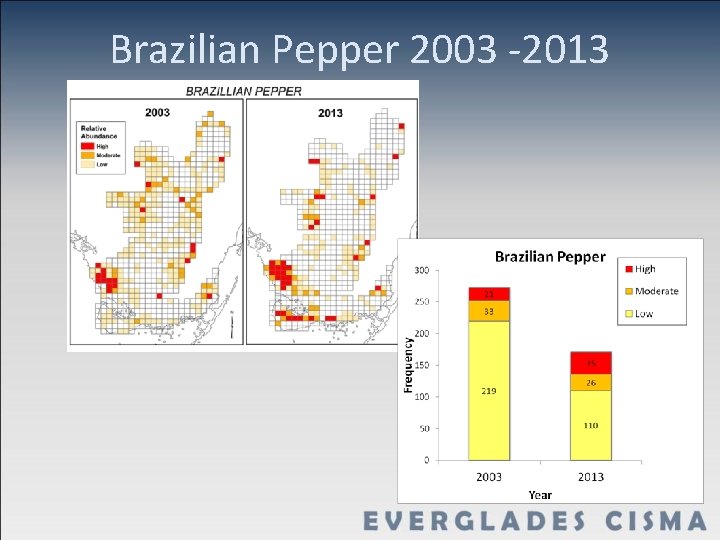 Brazilian Pepper 2003 -2013 