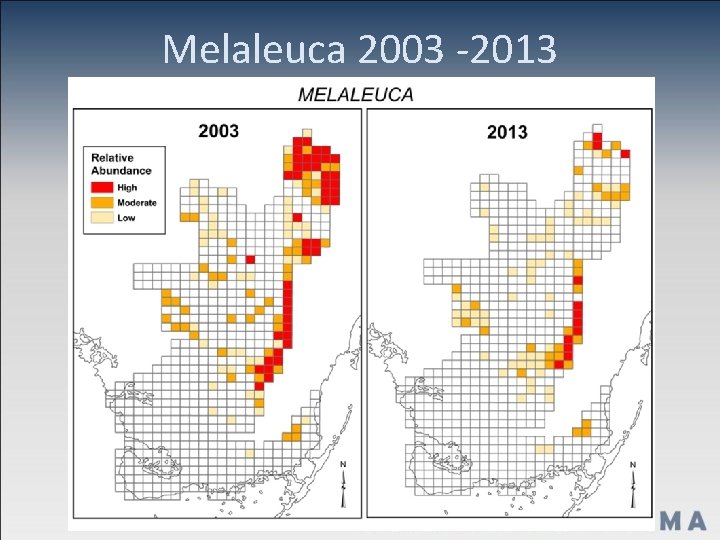 Melaleuca 2003 -2013 