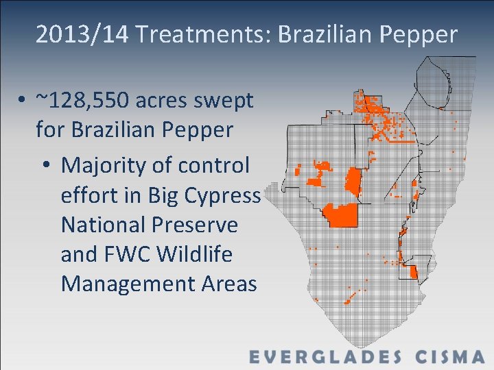 2013/14 Treatments: Brazilian Pepper • ~128, 550 acres swept for Brazilian Pepper • Majority