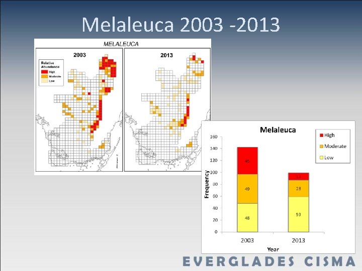 Melaleuca 2003 -2013 