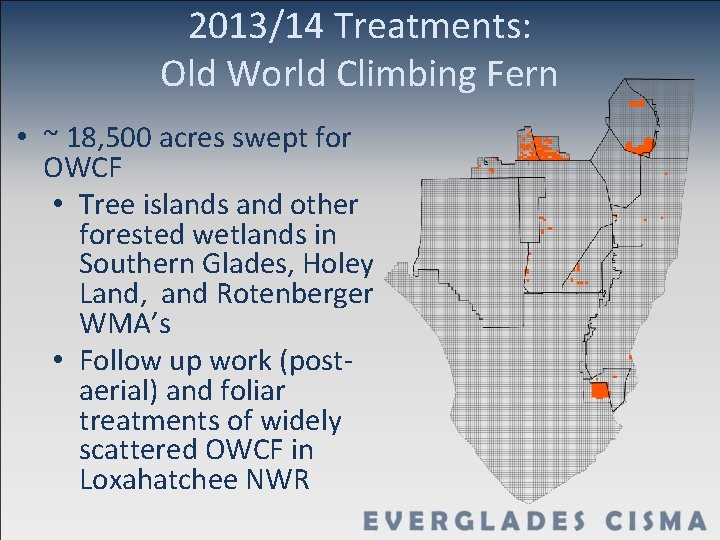 2013/14 Treatments: Old World Climbing Fern • ~ 18, 500 acres swept for OWCF
