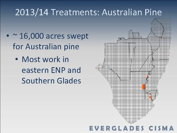 2013/14 Treatments: Australian Pine • ~ 16, 000 acres swept for Australian pine •