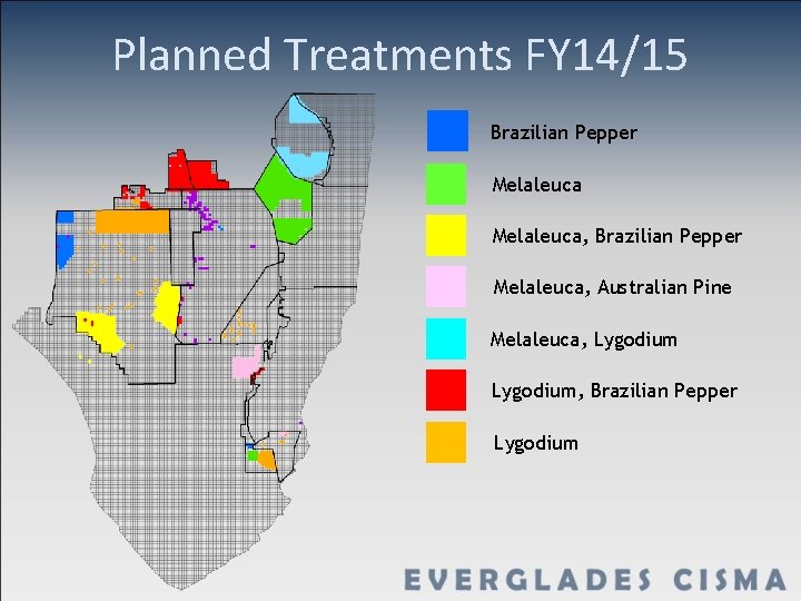 Planned Treatments FY 14/15 Brazilian Pepper Melaleuca, Australian Pine Melaleuca, Lygodium, Brazilian Pepper Lygodium