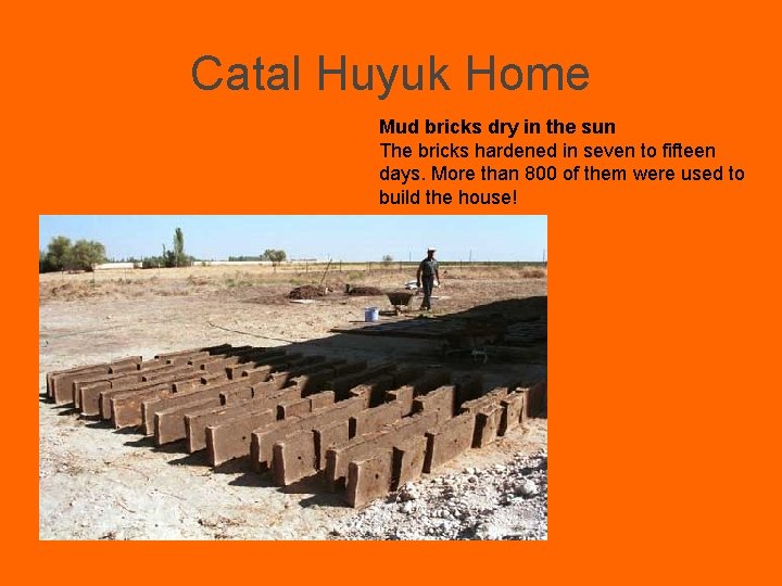 Catal Huyuk Home Mud bricks dry in the sun The bricks hardened in seven