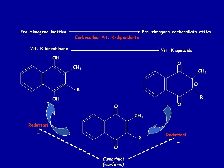 Pro-zimogeno inattivo Carbossilasi Vit. K-dipendente Pro-zimogeno carbossilato attivo Vit. K idrochinone Vit. K epossido