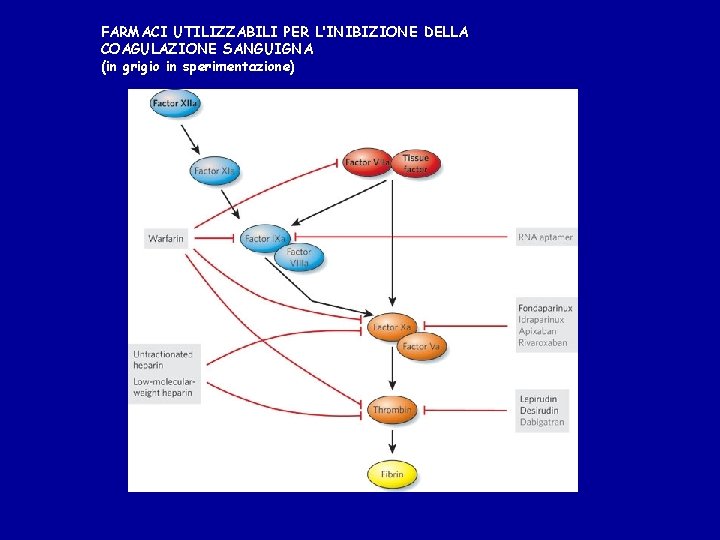 FARMACI UTILIZZABILI PER L’INIBIZIONE DELLA COAGULAZIONE SANGUIGNA (in grigio in sperimentazione) 