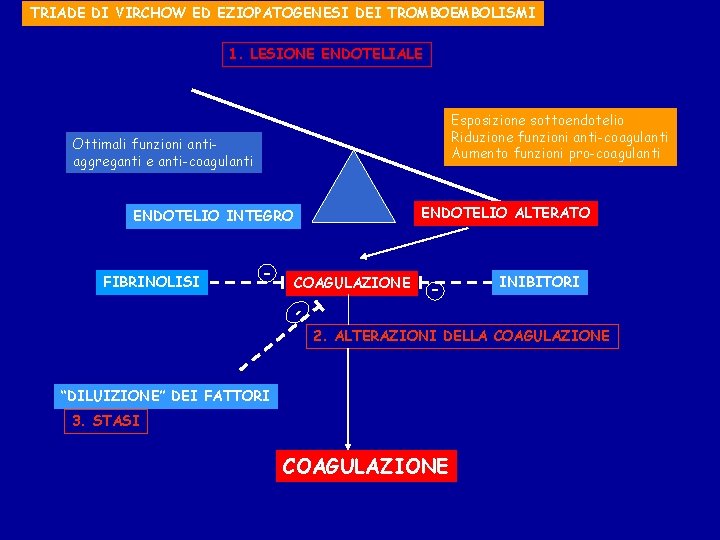 TRIADE DI VIRCHOW ED EZIOPATOGENESI DEI TROMBOEMBOLISMI 1. LESIONE ENDOTELIALE Esposizione sottoendotelio Riduzione funzioni