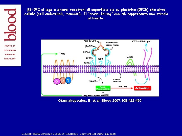b 2 -GPI si lega a diversi recettori di superficie sia su piastrine (GPIb)