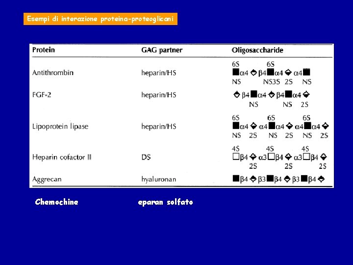 Esempi di interazione proteina-proteoglicani Chemochine eparan solfato 