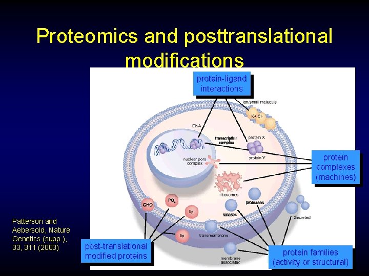 Proteomics and posttranslational modifications protein-ligand interactions protein complexes (machines) Patterson and Aebersold, Nature Genetics